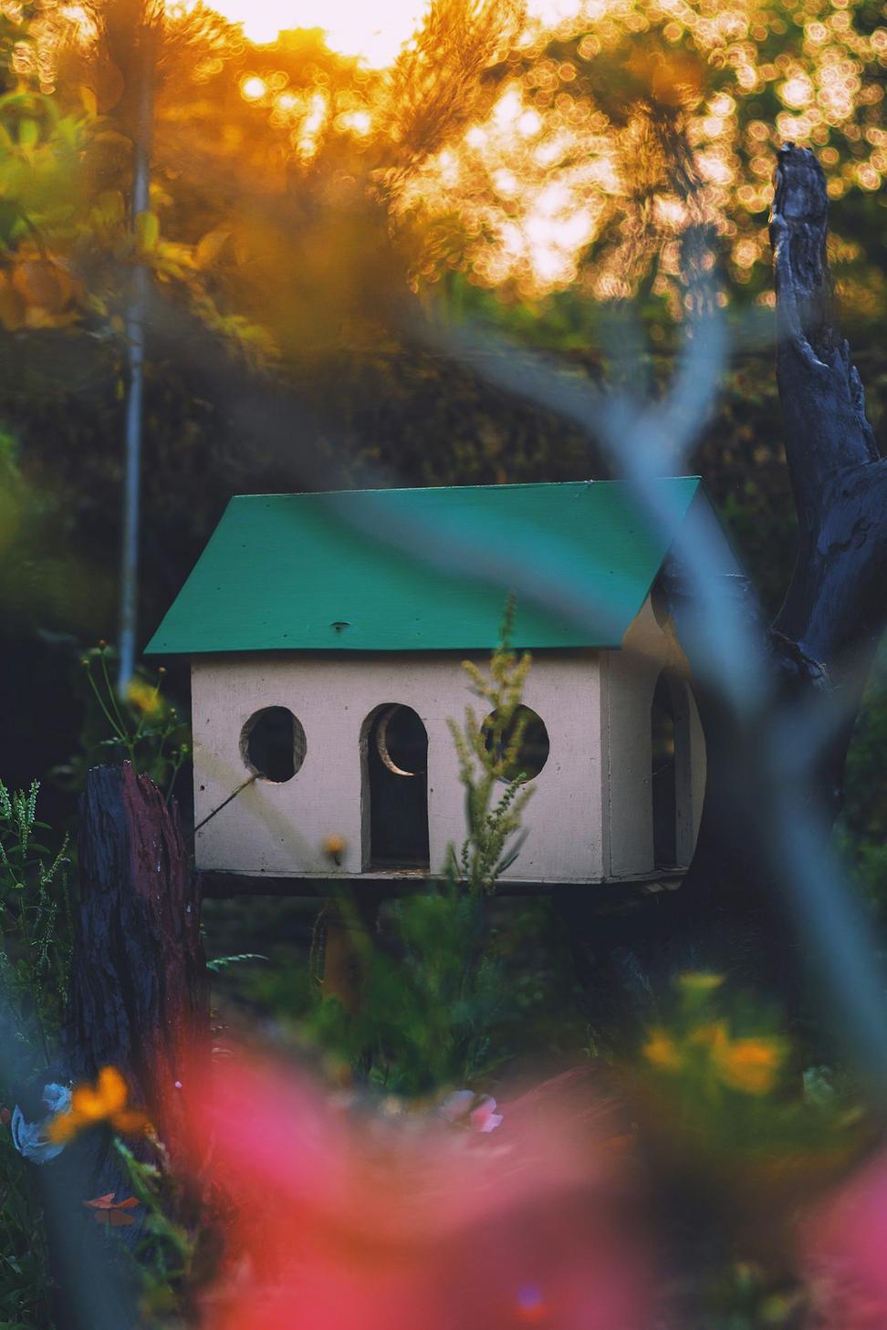 Eco Laneway House